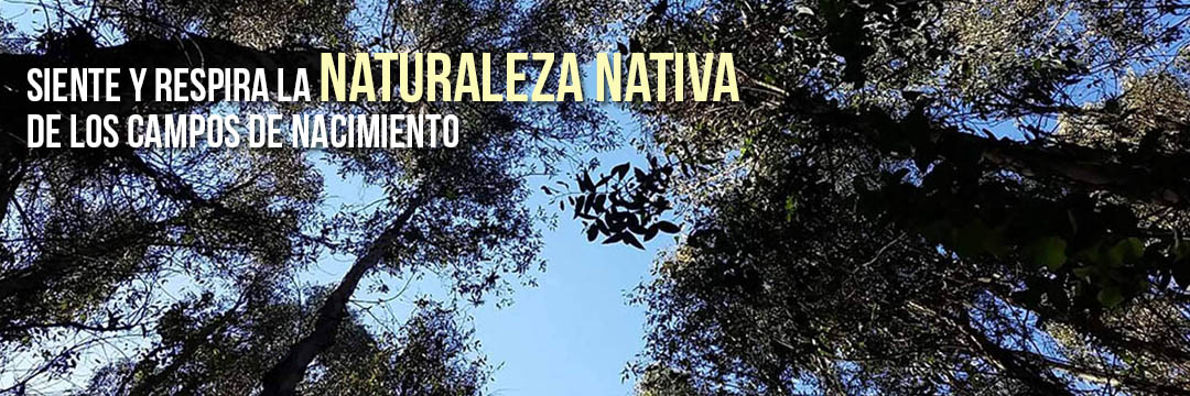 nacimiento turismo aventura